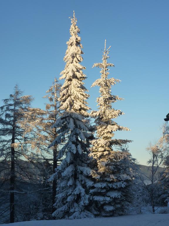 Der Loeffler Am Semmering Bed&Breakfast Exterior photo